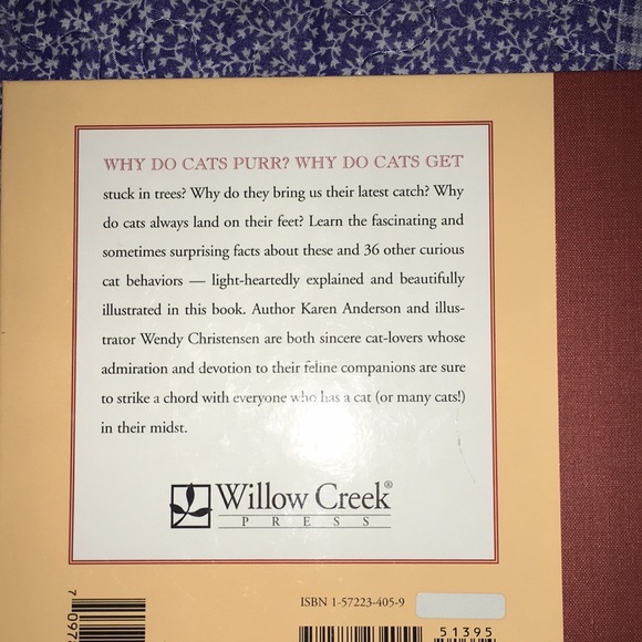 A curious collection of kitty quirks! - Picture 4 of 6